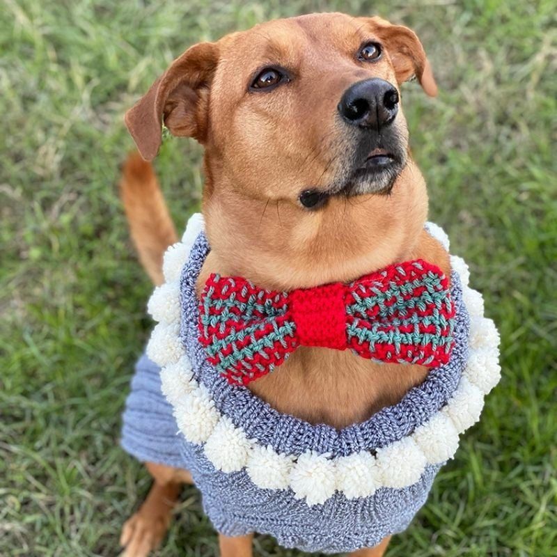 Knitted Bow Tie free crochet pattern by Handy Little Me